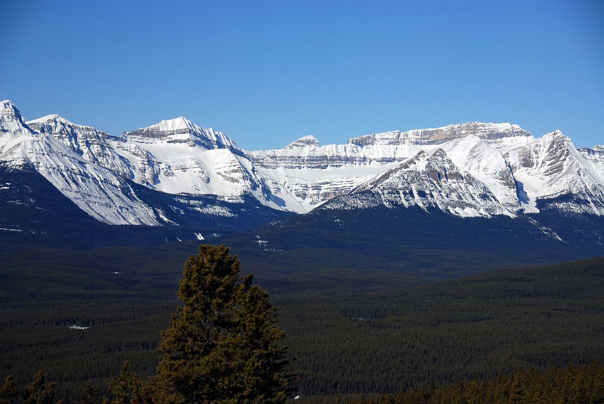 28 Mount Bosworth, Mount Niles, Mount Daly, Waputik Peak From Lake Louise Ski Area